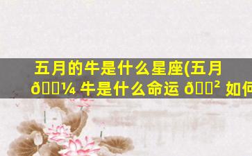 五月的牛是什么星座(五月 🐼 牛是什么命运 🌲 如何)